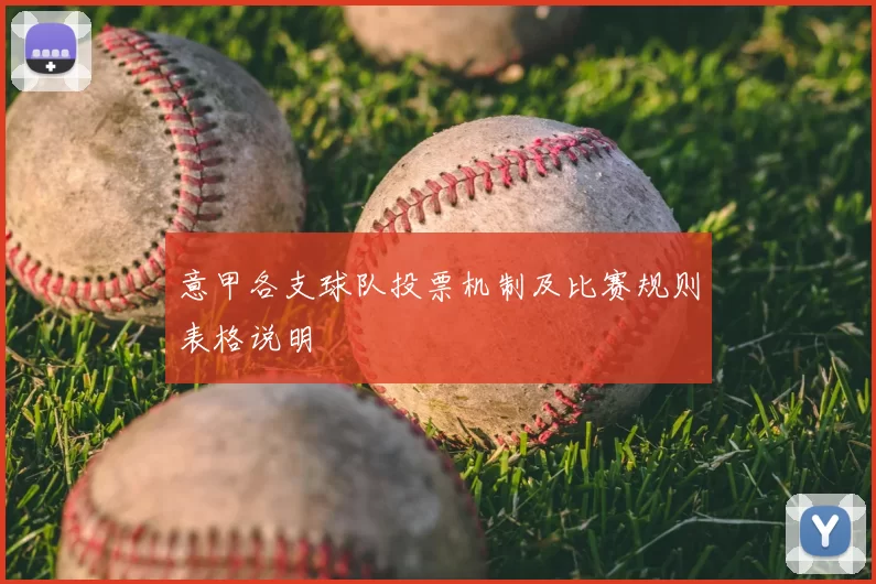 意甲各支球队投票机制及比赛规则表格说明