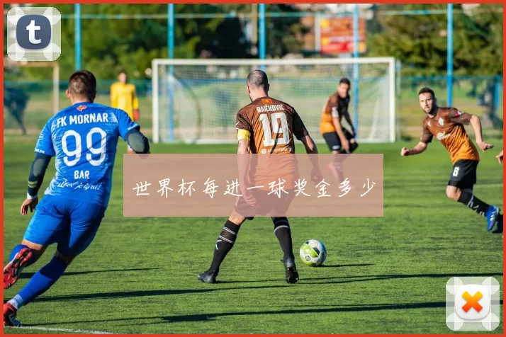 世界杯每进一球奖金多少