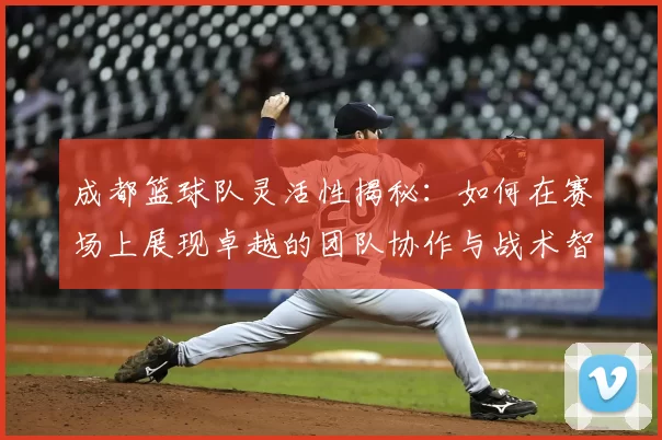 成都篮球队灵活性揭秘:如何在赛场上展现卓越的团队协作与战术智慧