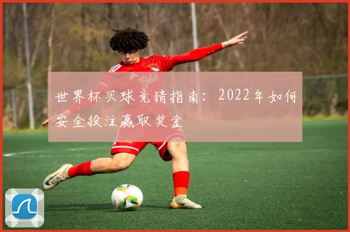 世界杯买球竞猜指南:2022年如何安全投注赢取奖金