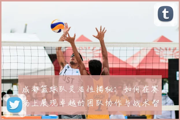 成都篮球队灵活性揭秘：如何在赛场上展现卓越的团队协作与战术智慧