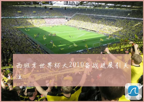 西班牙世界杯大2010备战进展引关注