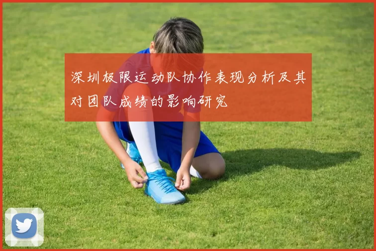 深圳极限运动队协作表现分析及其对团队成绩的影响研究
