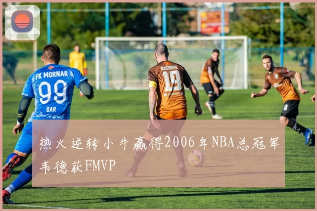 热火逆转小牛赢得2006年NBA总冠军韦德获FMVP
