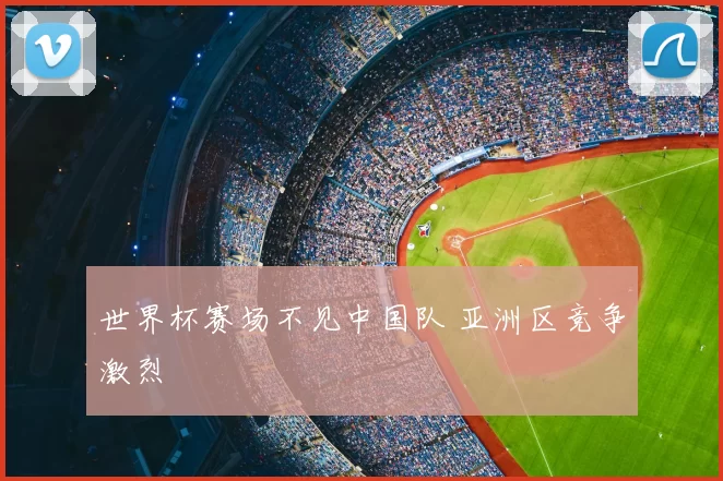 世界杯赛场不见中国队 亚洲区竞争激烈