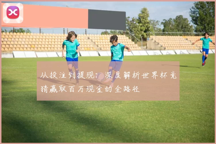 从投注到提现:深度解析世界杯竞猜赢取百万现金的全路径