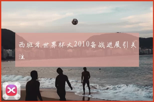 西班牙世界杯大2010备战进展引关注
