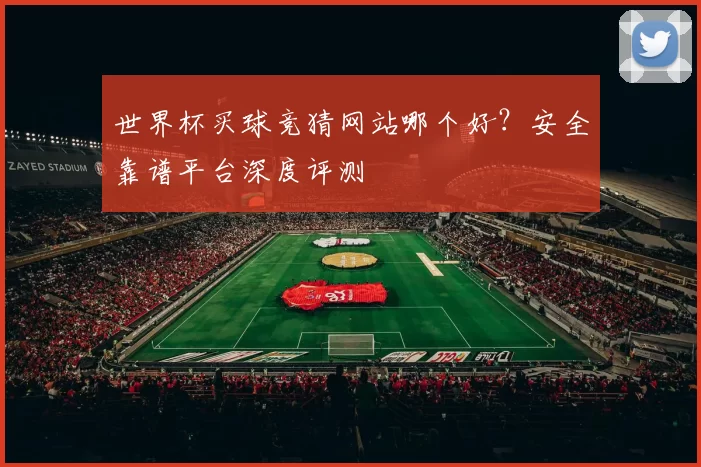 世界杯买球竞猜网站哪个好?安全靠谱平台深度评测