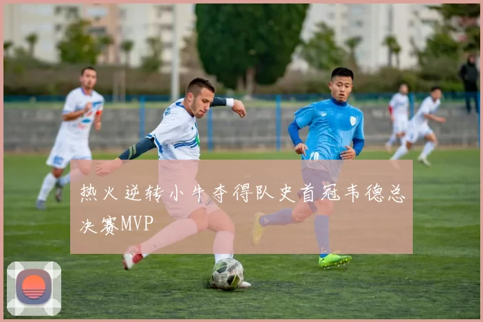 热火逆转小牛夺得队史首冠韦德总决赛MVP