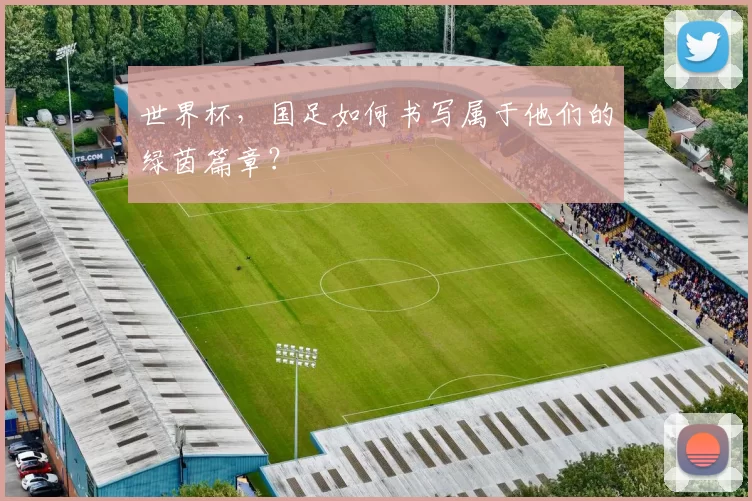 世界杯，国足如何书写属于他们的绿茵篇章？
