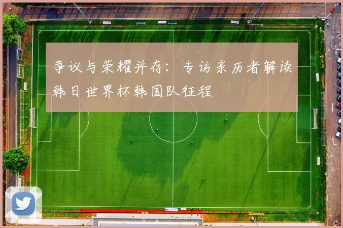争议与荣耀并存：专访亲历者解读韩日世界杯韩国队征程