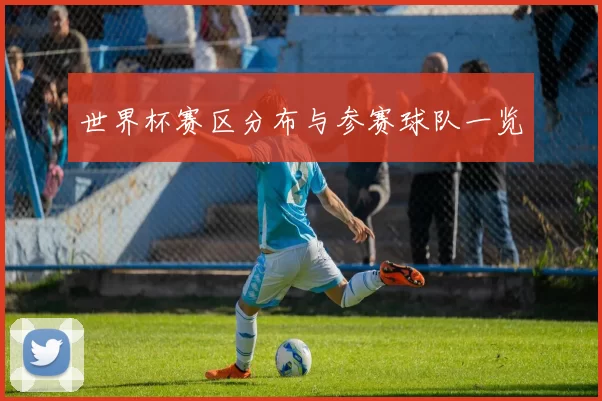 世界杯赛区分布与参赛球队一览